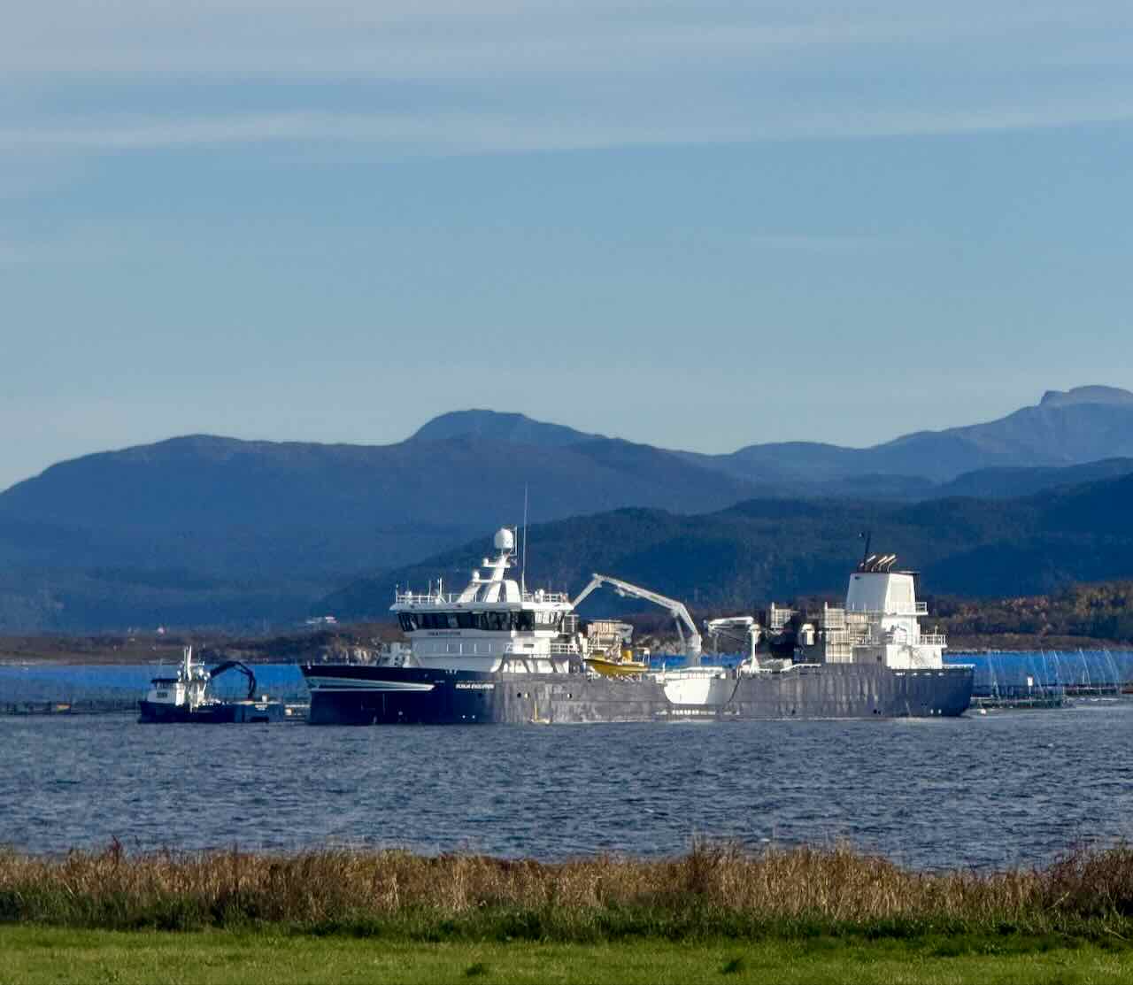 Brønnbåt ved oppdrettsanlegg på Vigra
